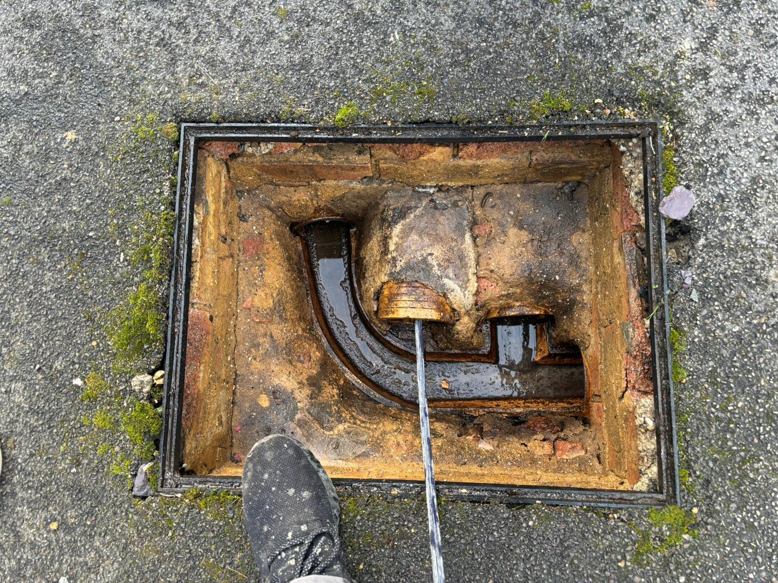 Tree Root Removal - Professional drainage service